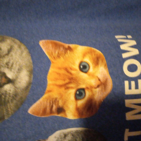 Cat t-shirt - Picture 4 of 7